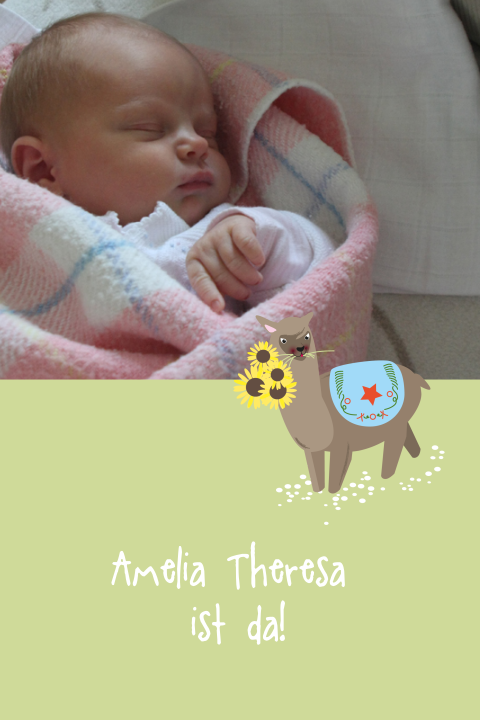 Hübsche Geburtskarte mit Foto und Lama
