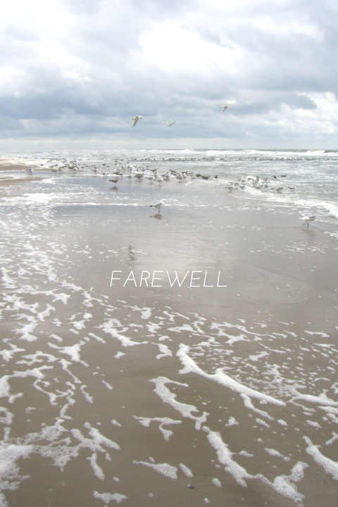 Farewell! Möwen – Todesanzeigekarte