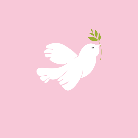 Trauerkarte Friedenstaube rosa